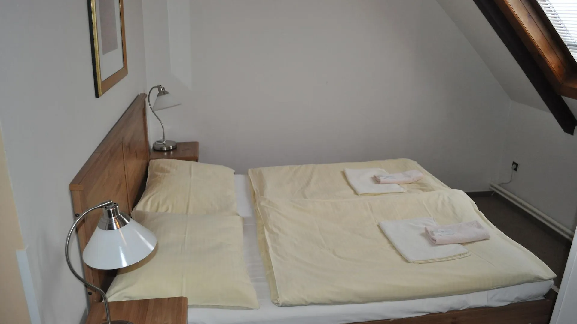 Hotel Svornost Praga Czechy
