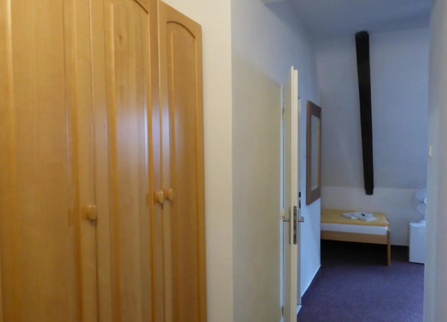 Hotel Svornost Prague 3*,