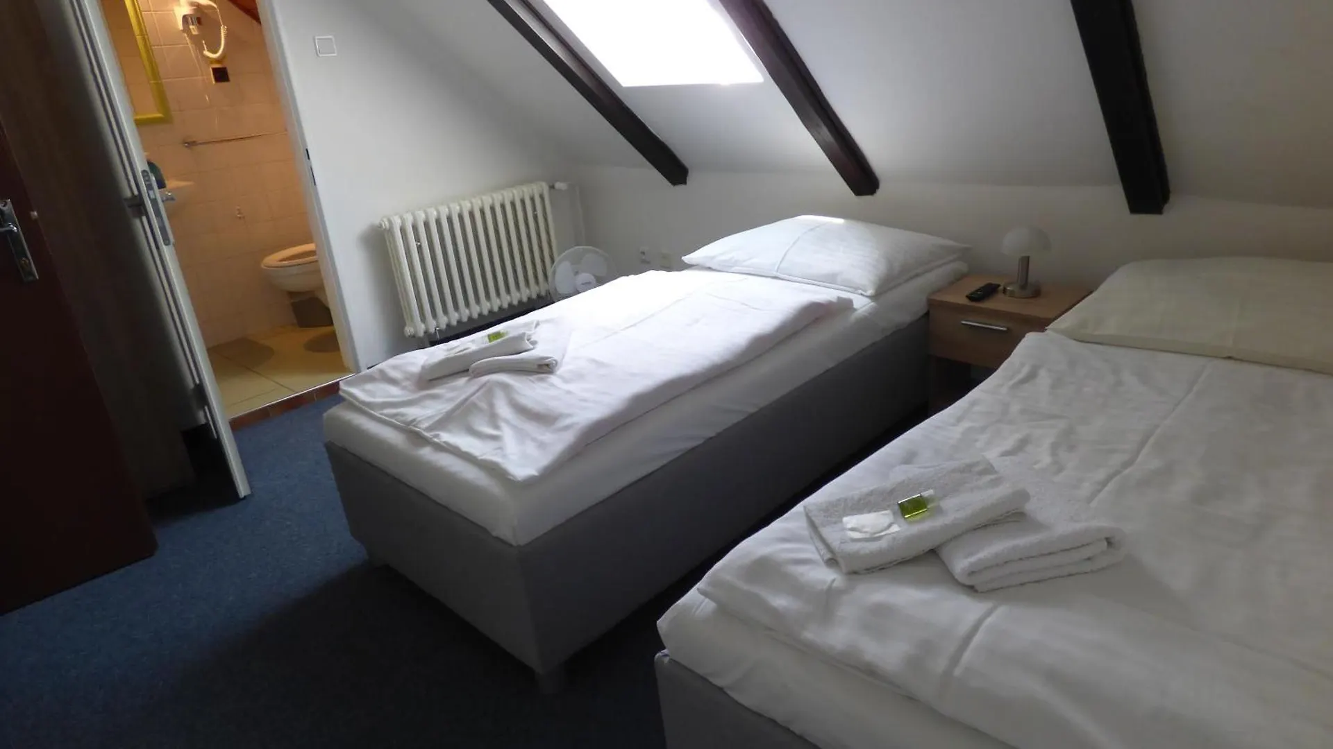 ***  Hotel Svornost Prague Czech Republic
