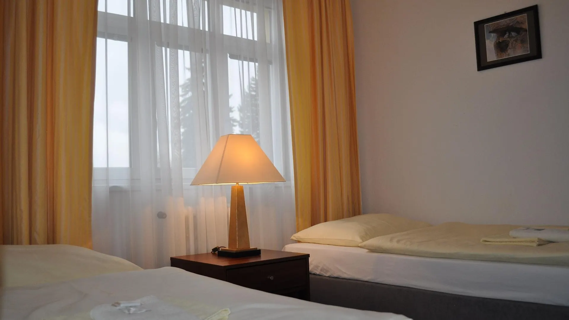 Hotel Svornost Prague